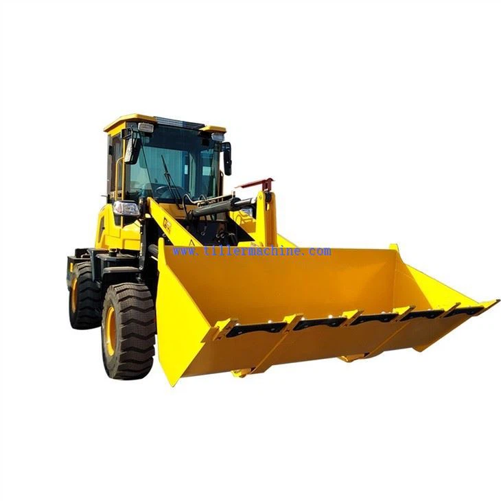 Professional Wheel Loader