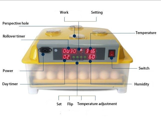 Chicken Incubator